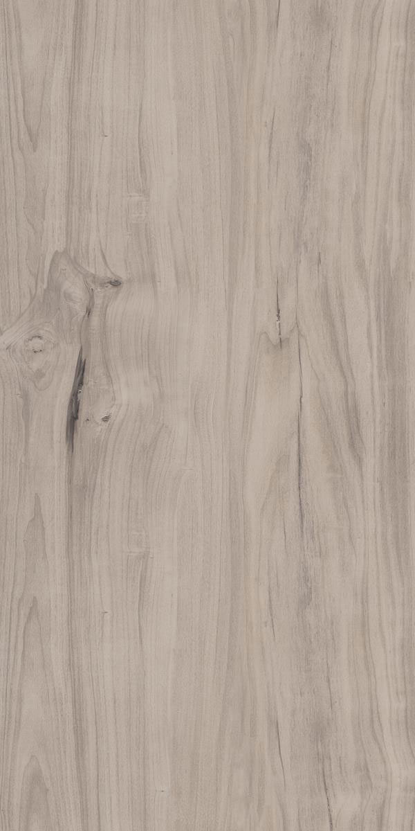 BEECH GREY F3